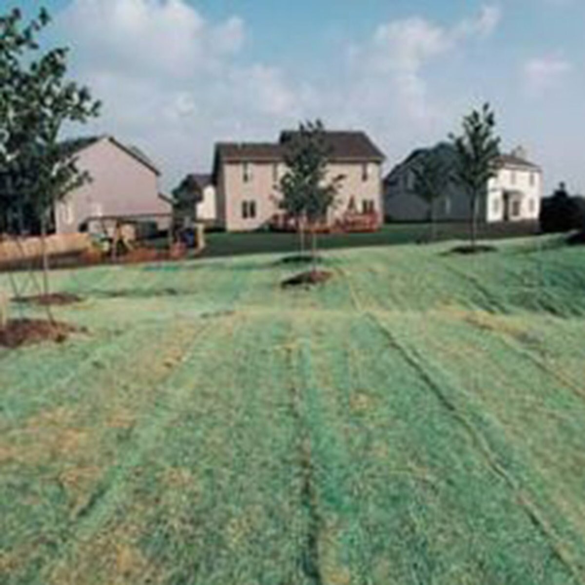 Curlex II Excelsior Erosion Control Blanket Green Aspen SiteOne